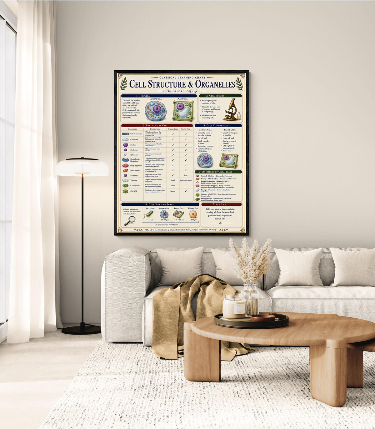 Cell Structure Biology Chart Wall Art Print, Classical Learning Poster, Teacher Classroom Reference, Homeschool, Science Room Decor