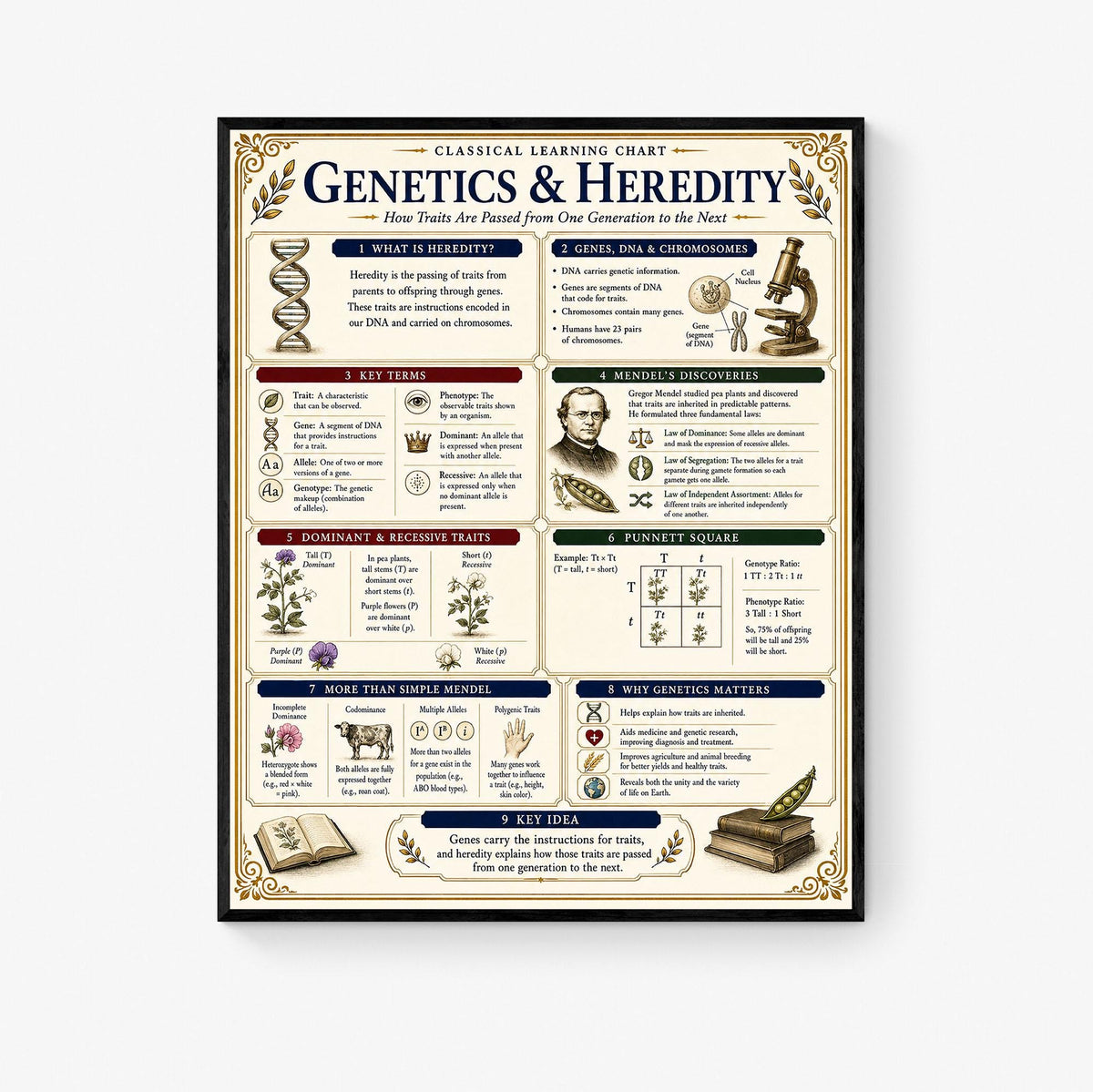 Genetics Heredity Chart Wall Art Print, Classical Learning Poster, Science Teacher Classroom Reference, Homeschool, Study Room Decor