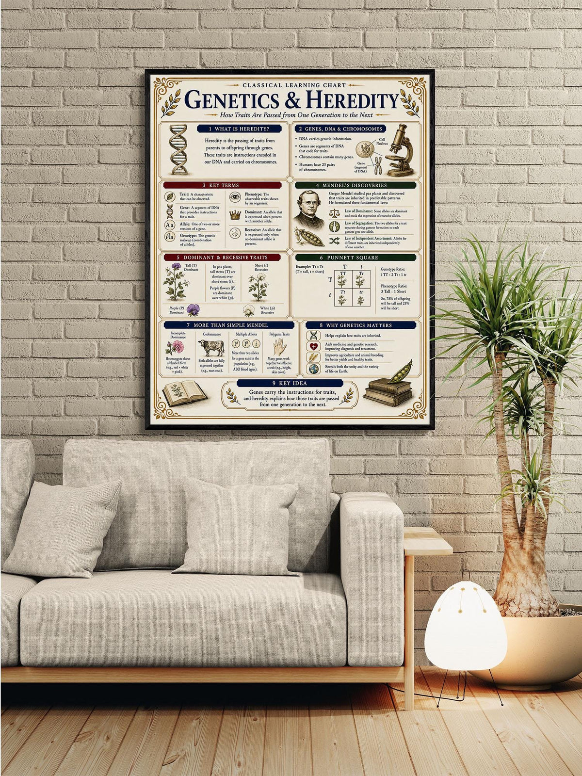 Genetics Heredity Chart Wall Art Print, Classical Learning Poster, Science Teacher Classroom Reference, Homeschool, Study Room Decor