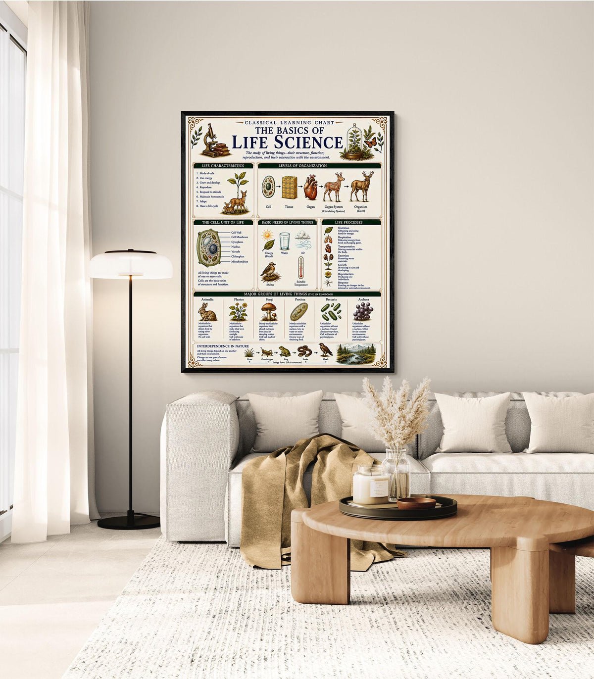 Life Science Biology Chart Wall Art Print, Classical Learning Poster, Teacher Classroom Reference, Homeschool, Science Room Decor