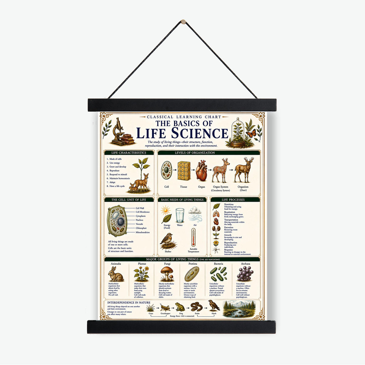 Life Science Biology Chart Wall Art Print, Classical Learning Poster, Teacher Classroom Reference, Homeschool, Science Room Decor