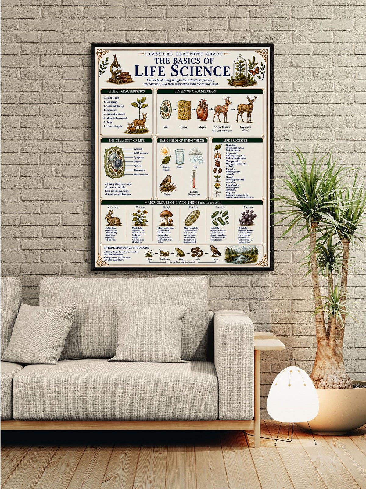 Life Science Biology Chart Wall Art Print, Classical Learning Poster, Teacher Classroom Reference, Homeschool, Science Room Decor