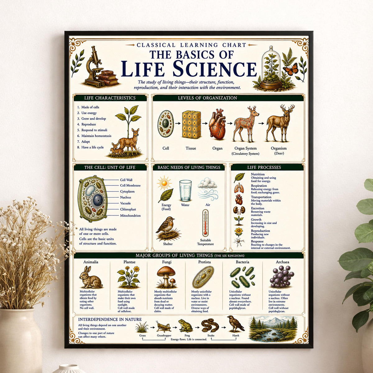 Life Science Biology Chart Wall Art Print, Classical Learning Poster, Teacher Classroom Reference, Homeschool, Science Room Decor