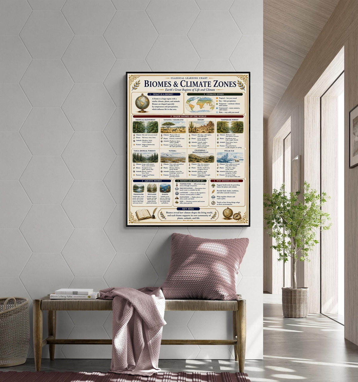 Biomes and Climates Chart Wall Art Print, Classical Learning Poster, Science Teacher Classroom Reference, Homeschool, Study Room Decor
