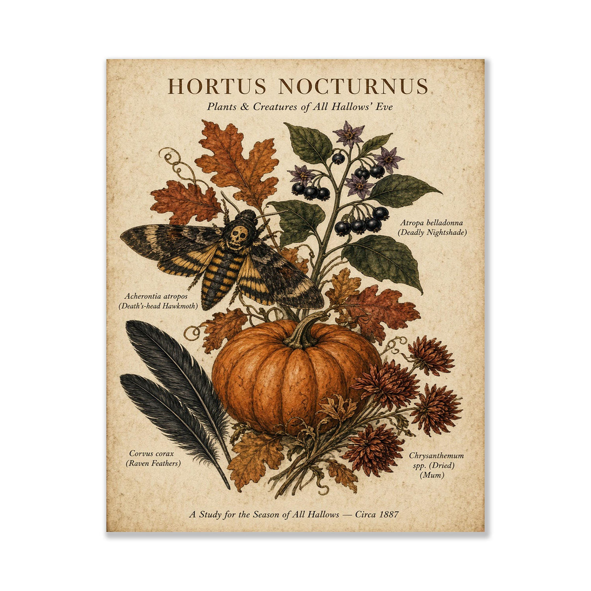 Vintage Dark Academia Plant Art Print, Halloween, Autumn, Fall Home Decor