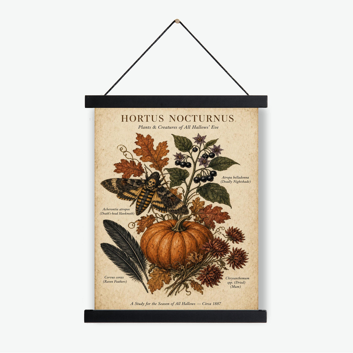 Vintage Dark Academia Plant Art Print, Halloween, Autumn, Fall Home Decor
