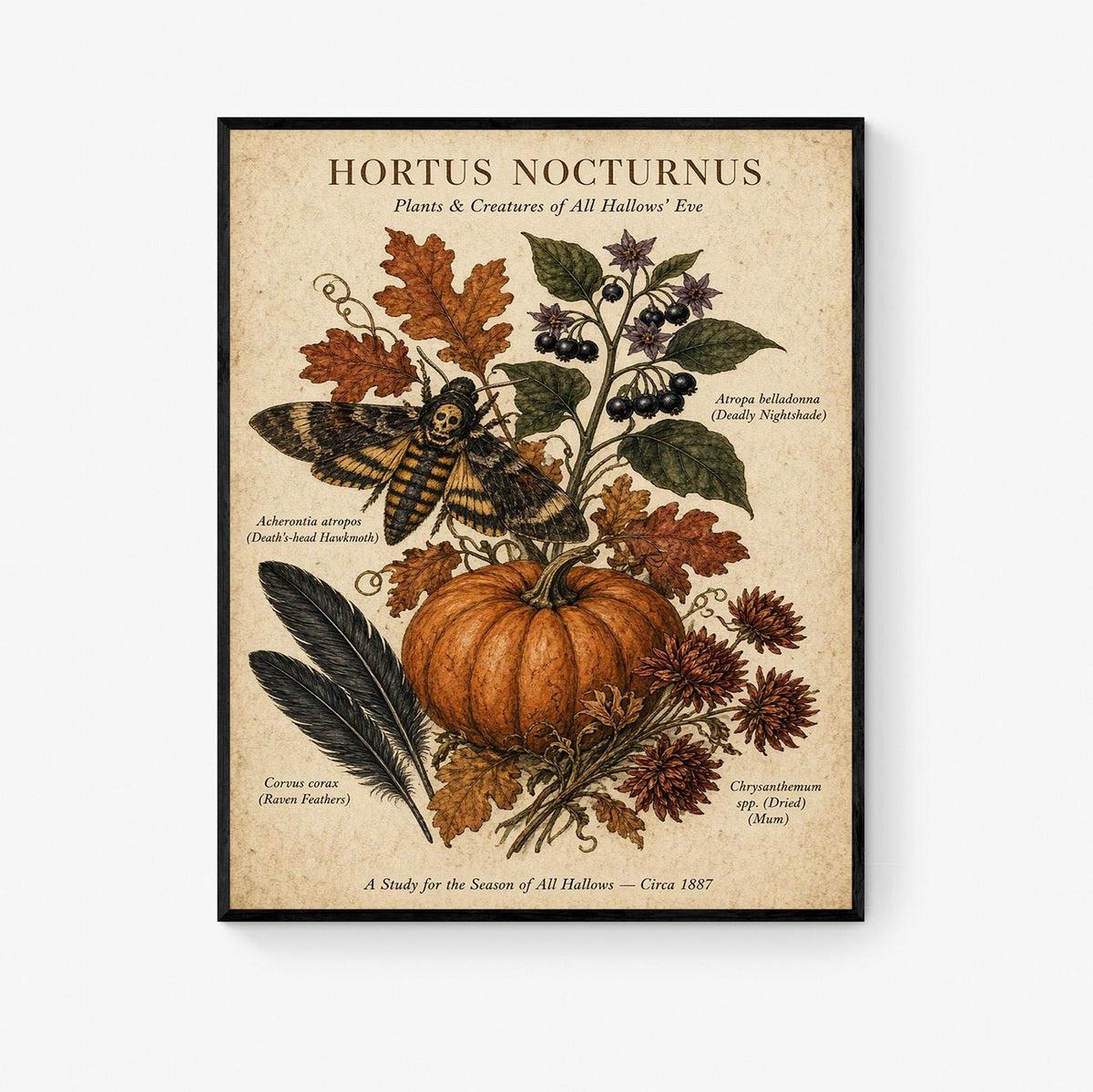 Vintage Dark Academia Plant Art Print, Halloween, Autumn, Fall Home Decor