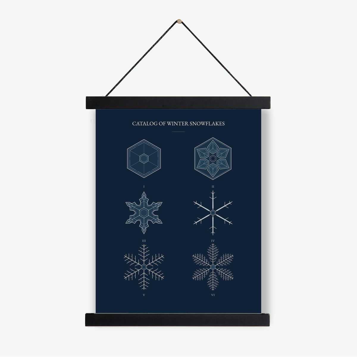 Catalog of Winter Snowflakes Art Print, Christmas, Blue Natural History Wall Decor