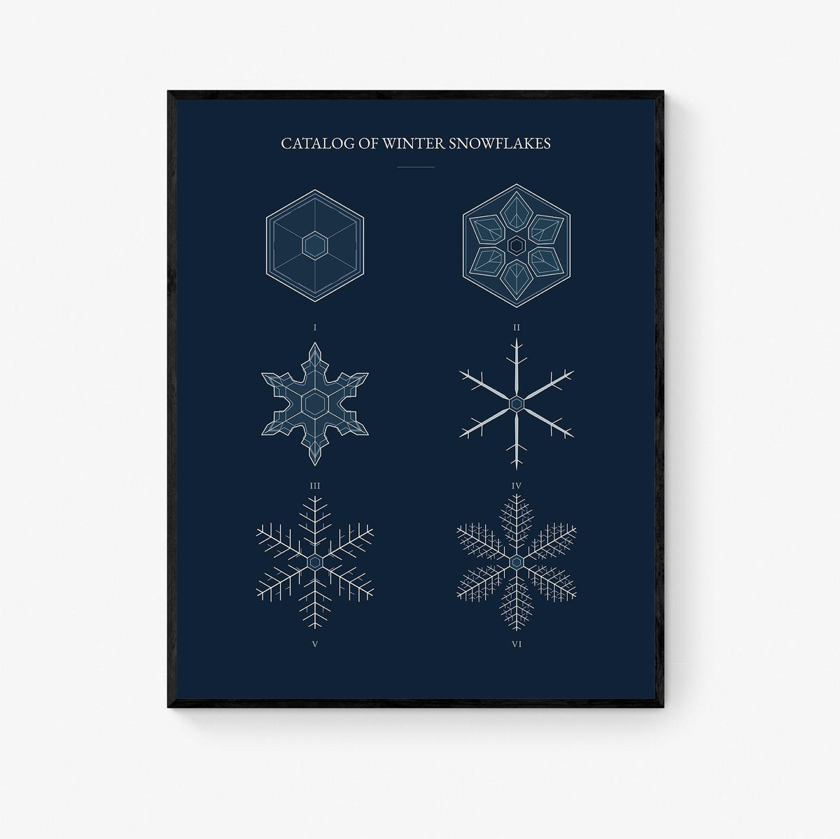Catalog of Winter Snowflakes Art Print, Christmas, Blue Natural History Wall Decor