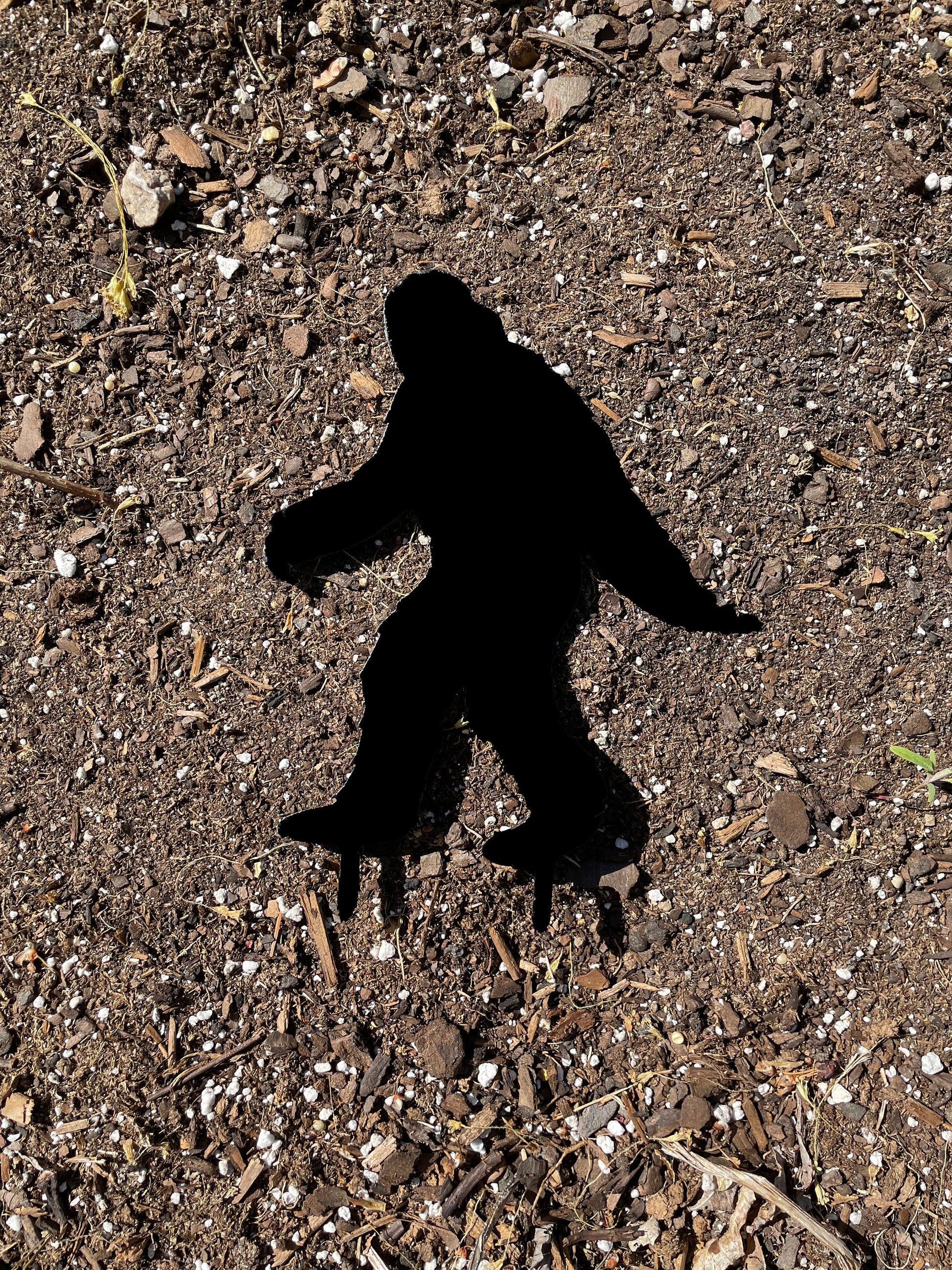Bigfoot Hiding In Your Garden | Garden and Lawn Decor | Sasquatch | Acrylic