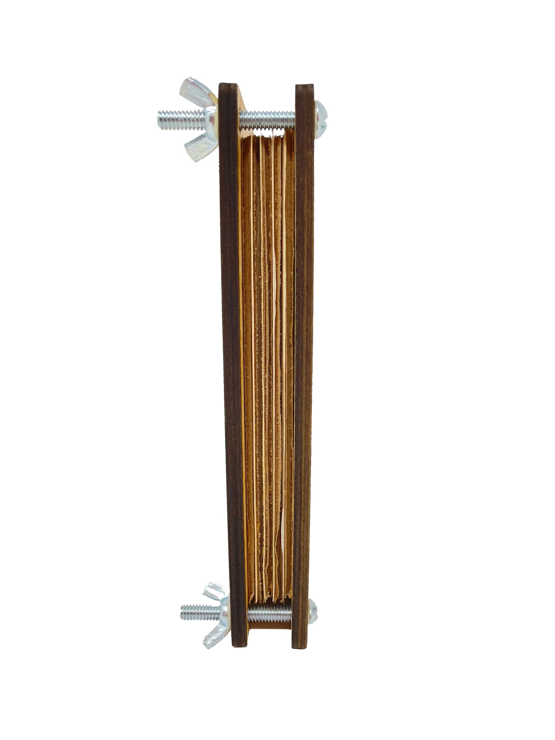 Nature Wood Flower And Leaf Press | Study Trees Mushrooms Leaves And Flowers | 7.75 in x 6 in
