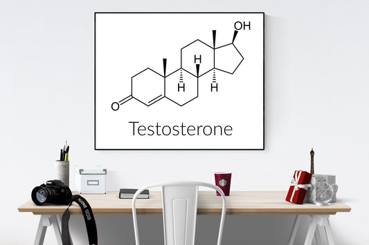 Testosterone Molecular Structure | Science And Chemistry | Art Print