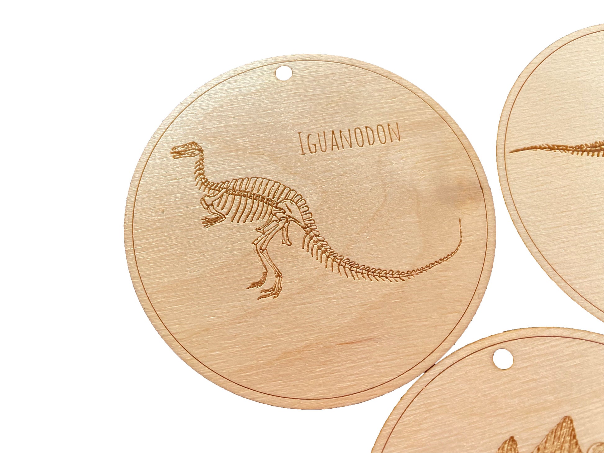 Dinosaur Bones Ornament | Children's Gift | Paleontology | Christmas Tree Ornaments