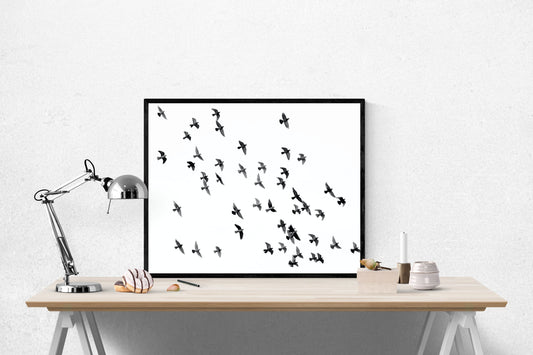 Birds In Flight | Abstract Nature | Art Print