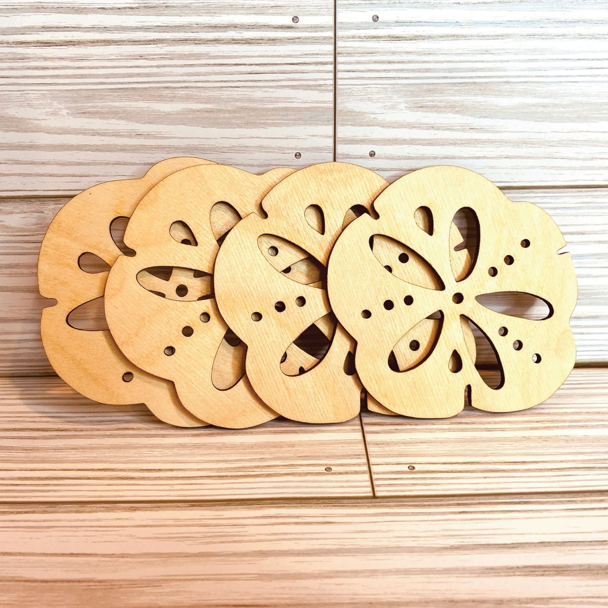 Sand Dollar Nautical Beach Coaster (Set of 4)