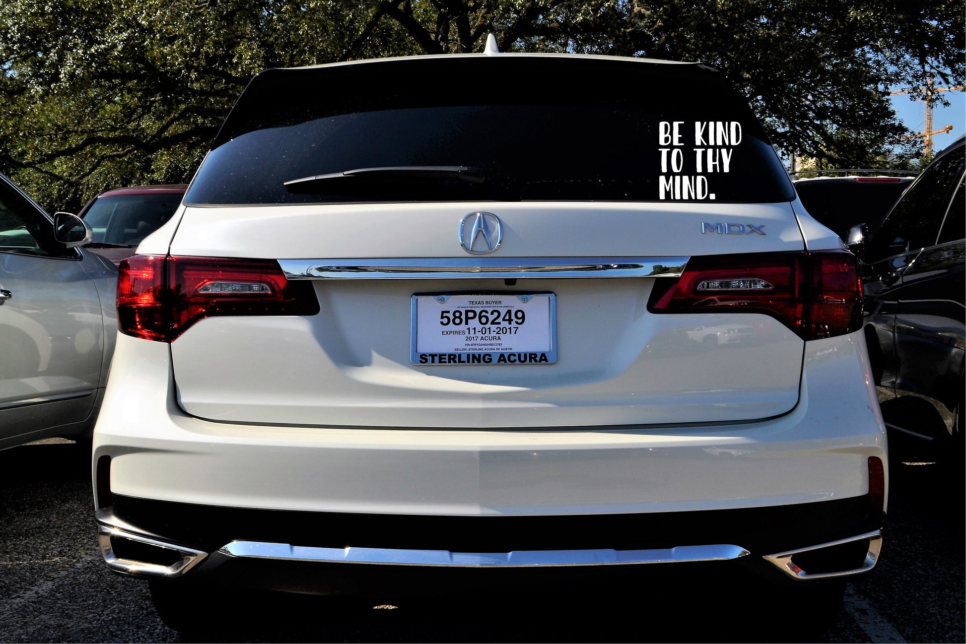 Mental Health Advocacy Vinyl Car Decal: Be Kind To Thy Mind | Promote Awareness and Support | Perfect for Cars and Vans