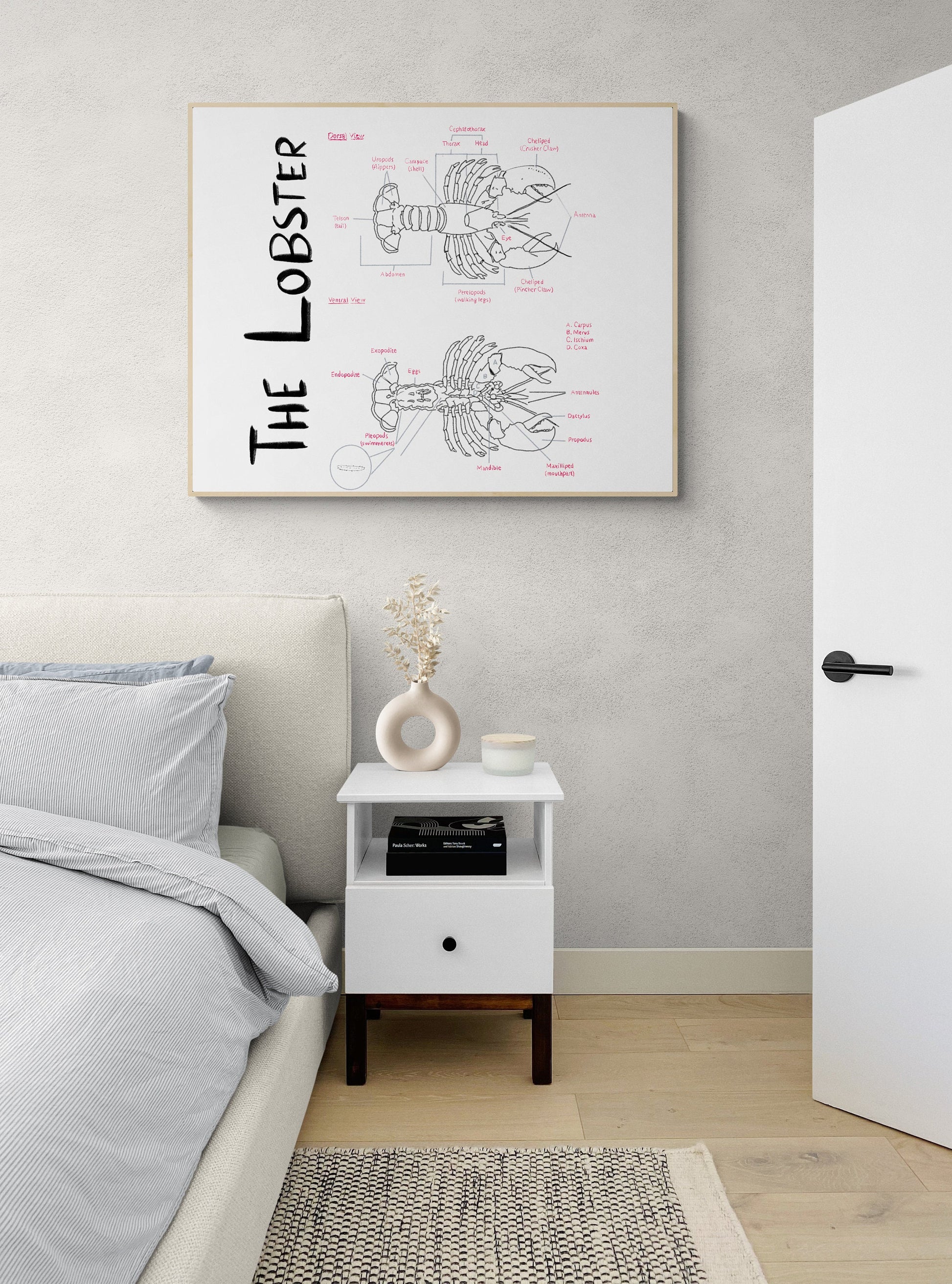 Hand-Drawn Lobster Anatomy Art Print