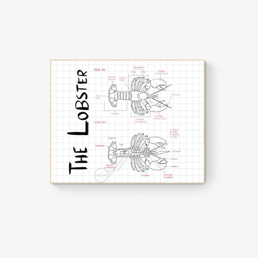 Hand-Drawn Lobster Anatomy Art Print